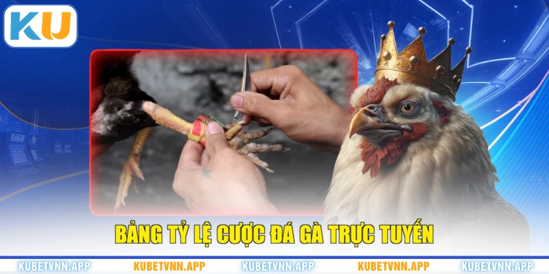 Bảng tỷ lệ cược đá gà trực tuyến