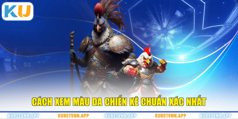 Cách xem màu da chiến kê chuẩn xác nhất