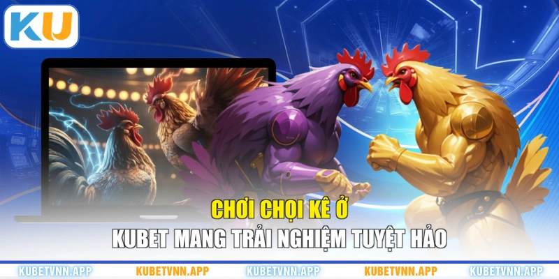 Chơi chọi kê ở KUBET mang trải nghiệm tuyệt hảo