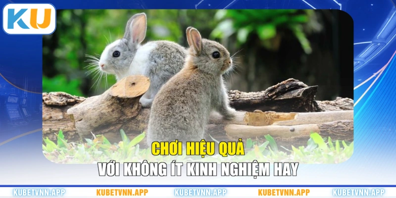 Chơi hiệu quả với không ít kinh nghiệm hay