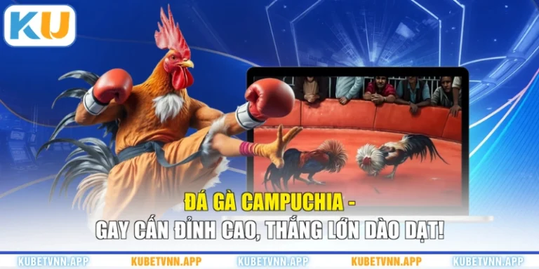 Đá Gà Campuchia - Gay Cấn Đỉnh Cao, Thắng Lớn Dào Dạt!