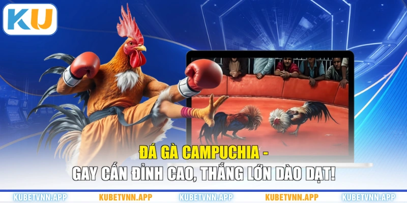 Đá Gà Campuchia - Gay Cấn Đỉnh Cao, Thắng Lớn Dào Dạt!