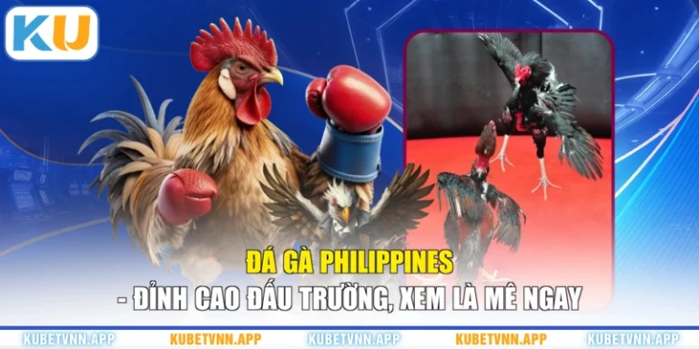 Đá Gà Philippines - Đỉnh Cao Đấu Trường, Xem Là Mê Ngay