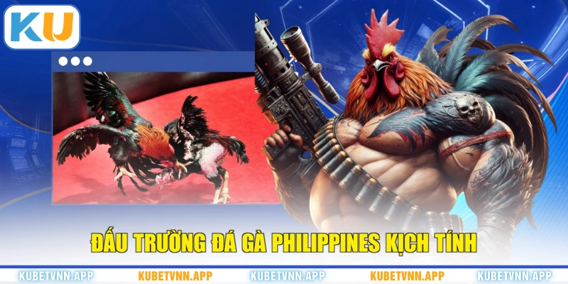 Đấu trường đá gà Philippines kịch tính