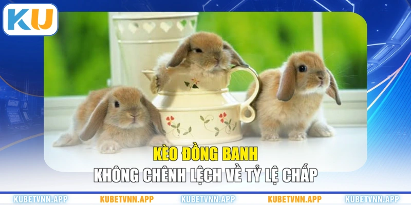 Kèo đồng banh không chênh lệch về tỷ lệ chấp