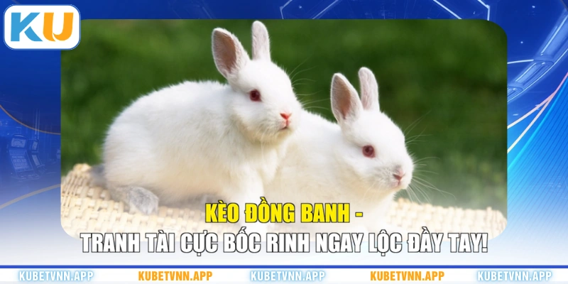 Kèo Đồng Banh - Tranh Tài Cực Bốc Rinh Ngay Lộc Đầy Tay!