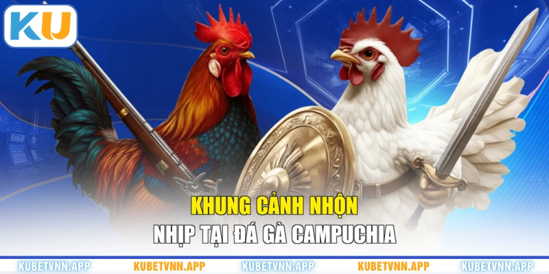 Khung cảnh nhộn nhịp tại đá gà Campuchia