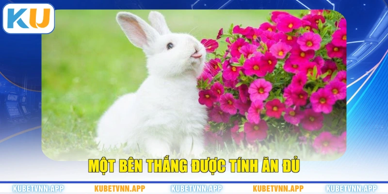 Một bên thắng được tính ăn đủ